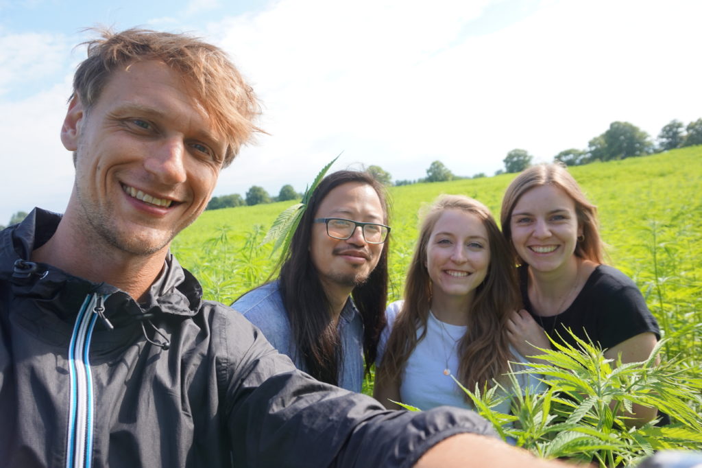 Team of ChillChoc in a Hemp Plantage